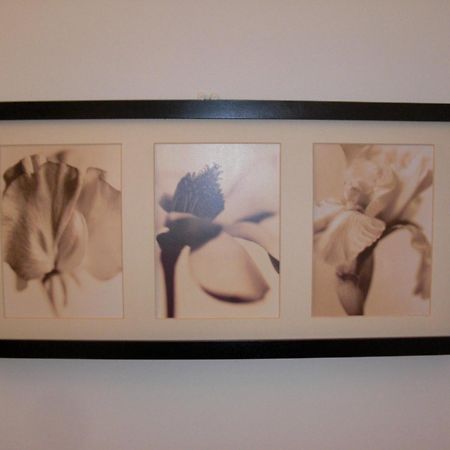 Anne De La Maison Blanche อาวีญง ภายนอก รูปภาพ